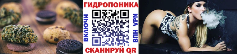 где продают наркотики  Шелехов  Canna-Cookies марихуана 