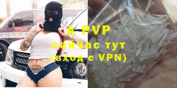 прущие крисы Алзамай