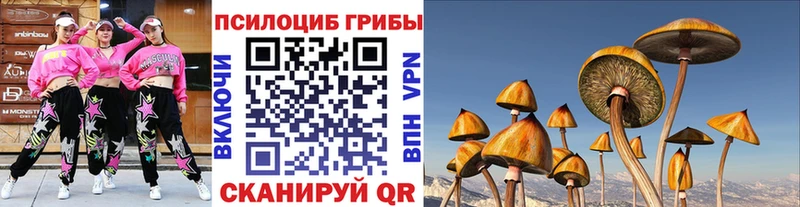 Галлюциногенные грибы мухоморы  Шелехов 